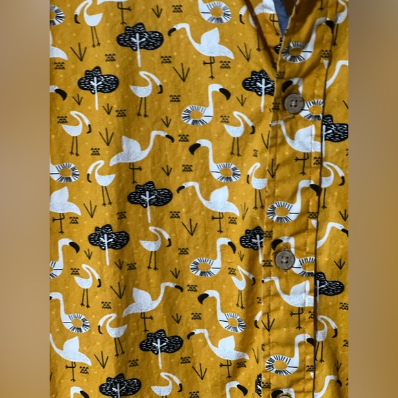 Hawksbay Button Down Short Sleeve with Flamingo Design
Size Medium - Picture 2 of 13